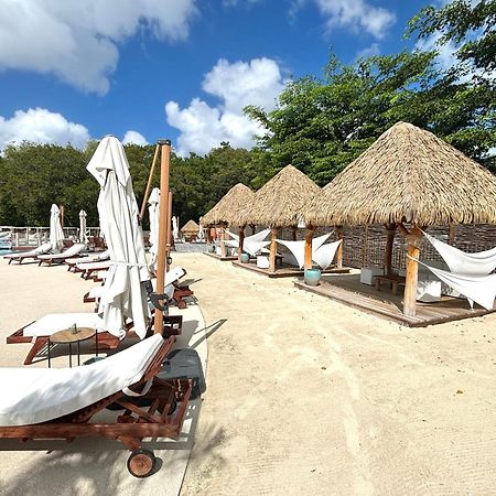 La Ruche De Maia - Blue Dream Beach - Piscine - Jardin - Plage Grand-Bourg  Exteriör bild