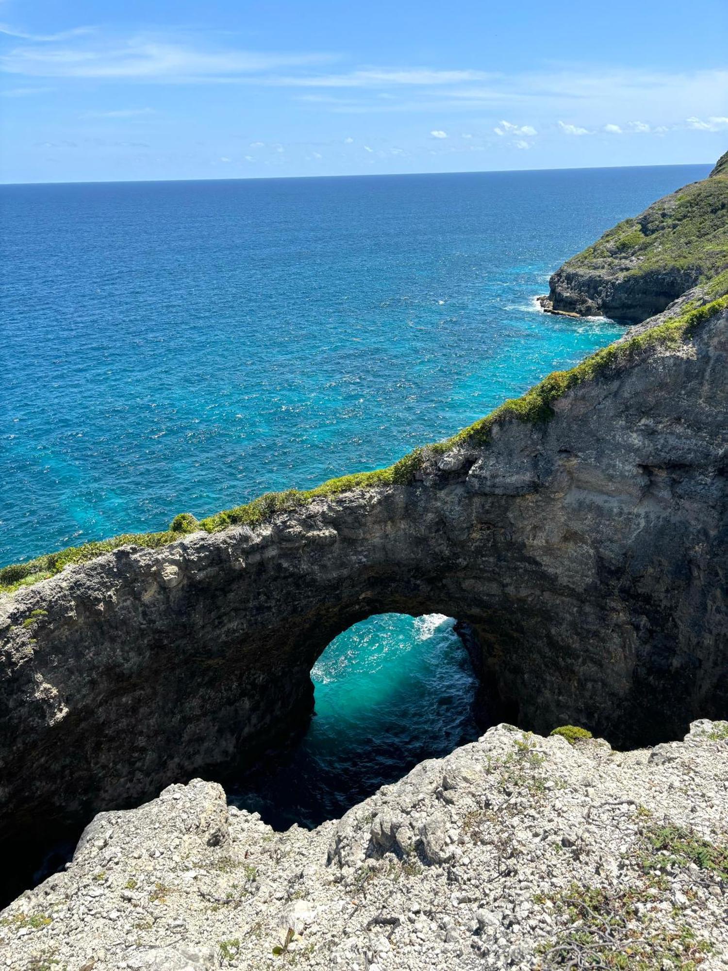 La Ruche De Maia - Blue Dream Beach - Piscine - Jardin - Plage Grand-Bourg  Exteriör bild