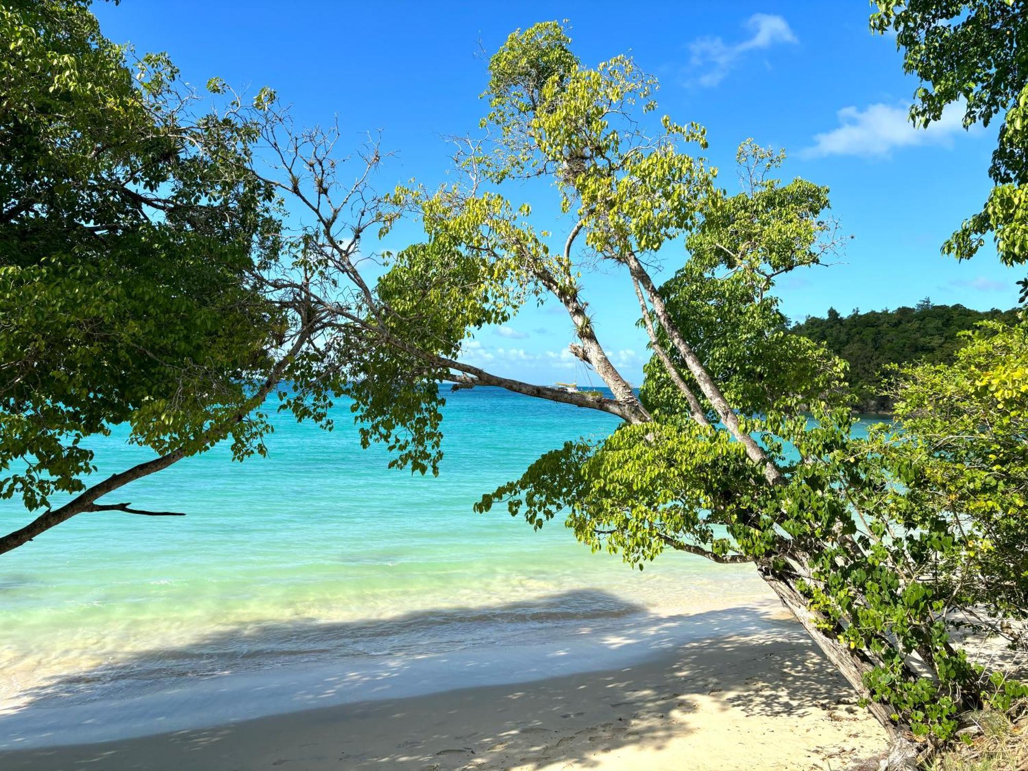 La Ruche De Maia - Blue Dream Beach - Piscine - Jardin - Plage Grand-Bourg  Exteriör bild