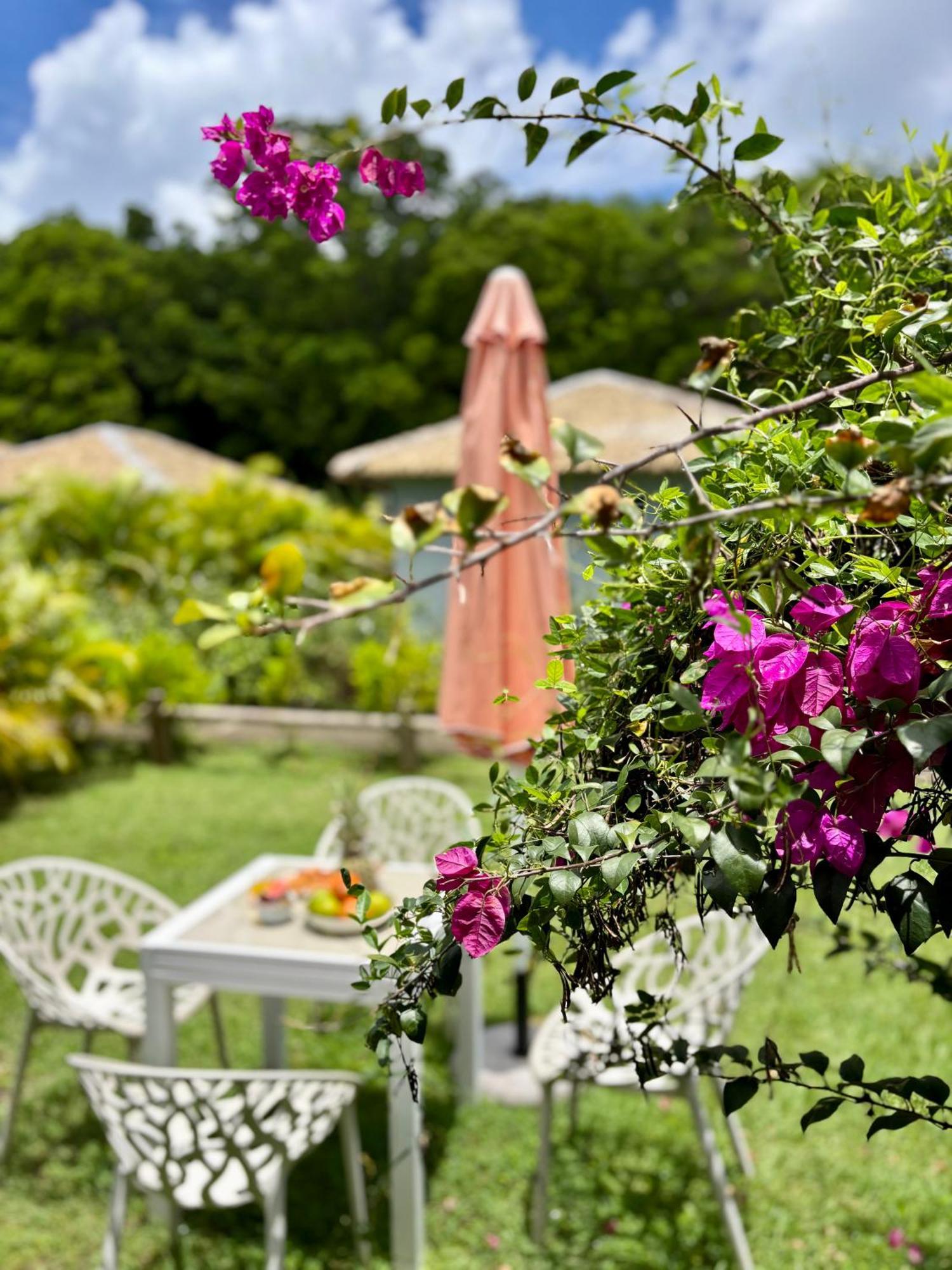 La Ruche De Maia - Blue Dream Beach - Piscine - Jardin - Plage Grand-Bourg  Exteriör bild